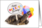 Happy Belated Birthday Talking Turtle Humor card