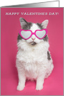 Happy Valentine’s Day For Anyone Cat in Heart Glasses Humor card