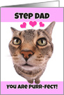 Happy Valentine’s Day Step Dad Cute Kitty Cat card
