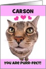 Happy Valentine’s Day Custom Name Cute Kitty Cat card