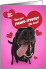 Happy Valentine’s Day Step Mom Funny Dog Humor card