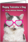 Happy Valentine’s Day To My Special Friends Cat in Heart Sunglasses card