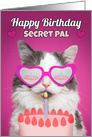 Happy Birthday Secret Pal Cute Cat With Birthday Cake Humor card