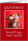 Happy Valentine’s Day Grandson Pit Bull Dog in Heart Glasses card