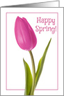 Happy Spring Beautiful Pink Tulip For Anyone card