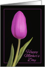 Happy Mother’s Day Wet Purple Tulip card