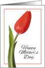 Happy Mother’s Beautiful Red Tulip card