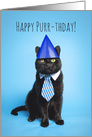 Happy Purr-thday (Birthday) For Anyone Cute Cat in Tie Humor card