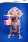 Happy Fourth of July Patriotic Puppy Humor card