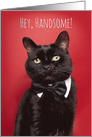 Happy Birthday Handsome Cat in Bow Tie Humor card
