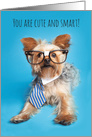 Happy Birthday For Anyone Cute and Smart Yorkshire Terrier Humor card