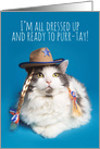 Happy Birthday Funny Cat in Cowboy Hat Humor card