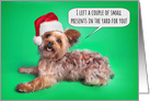 Merry Christmas From the Dog Yorkshire Terrier Humor card