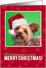 Merry Christmas for Anyone Cute Yorkie in Santa Hat card