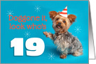 Happy 19th Birthday Yorkie in a Party Hat Humor card