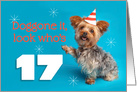 Happy 17th Birthday Yorkie in a Party Hat Humor card