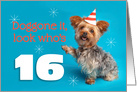 Happy 16th Birthday Yorkie in a Party Hat Humor card