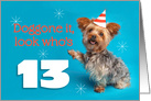 Happy 13th Birthday Yorkie in a Party Hat Humor card