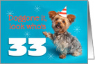 Happy 33rd Birthday Yorkie in a Party Hat Humor card