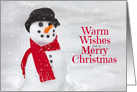 Merry Christmas For Anyone Cute Snowman Photograph card