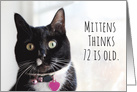 Happy Birthday Humor Cat Thinks 72 is Old card