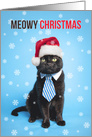 Meowy (Merry) Christmas From the Cat card