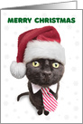 Merry Christmas From the Cat card