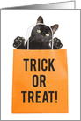 Happy Halloween For Anyone Black Cat in Treat Bag Humor card