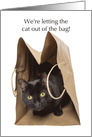 Letting the Cat out of the Bag Pregnancy Announcement Humor card