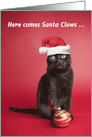 Merry Christmas For Anyone Black Cat Christmas Humor card
