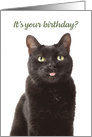 Happy Birthday For Anyone Cute Cat Sticking Tongue Out card