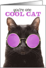 Happy Birthday Cute Hippie Cat Humor card