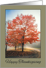 Happy Thanksgiving For Anyone Beautiful Fall Tree Photograph card