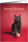 Meowy (Merry) Christmas Cat With Ornament Humor card