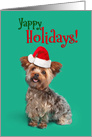 Yappy (Happy) Holidays Funny Yorkshire Terrier in Santa Hat Humor card