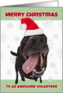 Merry Christmas Volunteer Cute Dog with Snowflake Humor card