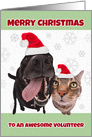 Merry Christmas Volunteer Cute Cat and Dog Humor card