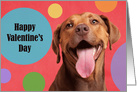 Happy Valentine’s Day Cute Smiling Dog card