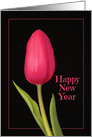 Happy New Year For Anyone Beautiful Red Tulip card
