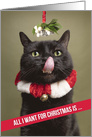 Merry Christmas From the Cat Under Mistletoe with Tongue Out Humor card