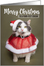 Merry Christmas Cousin Cat in Santa Costume Humor card