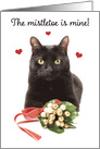 Merry Christmas For Anyone Cat With Mistletoe Humor card