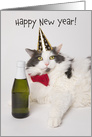 Happy New Year For Anyone Funny Cat In Party Hat With Champagne card