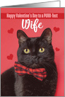 Happy Valentine’s Day Wife Cute Cat in Bow Tie Humor card
