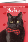 Happy Valentine’s Day Nephew Cute Cat in Bow Tie Humor card