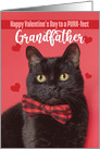 Happy Valentine’s Day Grandfather Cute Cat in Bow Tie Humor card