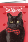Happy Valentine’s Day Girlfriend Cute Cat in Bow Tie Humor card