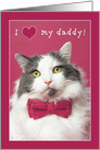 Happy Valentine’s Day Daddy Cute Cat in Pink Bow Tie Humor card