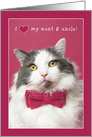 Happy Valentine’s Day Aunt and Uncle Cute Cat in Pink Bow Tie Humor card