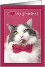 Happy Valentine’s Grandma Cute Cat in Pink Bow Tie Humor card